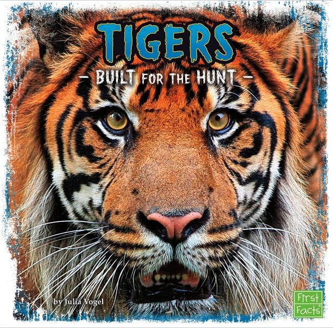 Tigers: Built for the Hunt