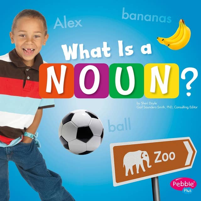 What Is a Noun?
