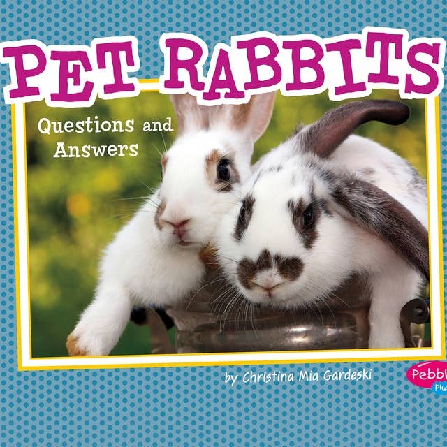Pet Rabbits: Questions and Answers
