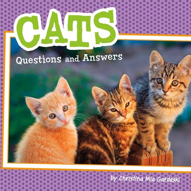 Cats: Questions and Answers