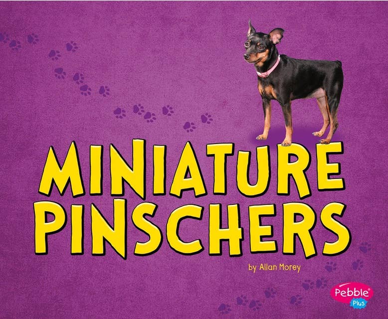 Miniature Pinschers