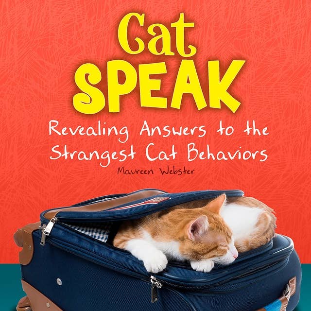 Cat Speak: Revealing Answers to the Strangest Cat Behaviors