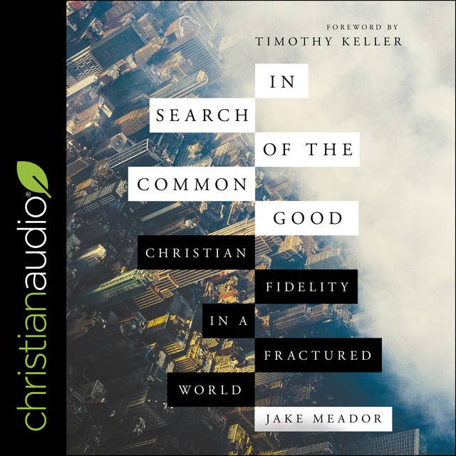 In Search of the Common Good: Christian Fidelity in a Fractured World