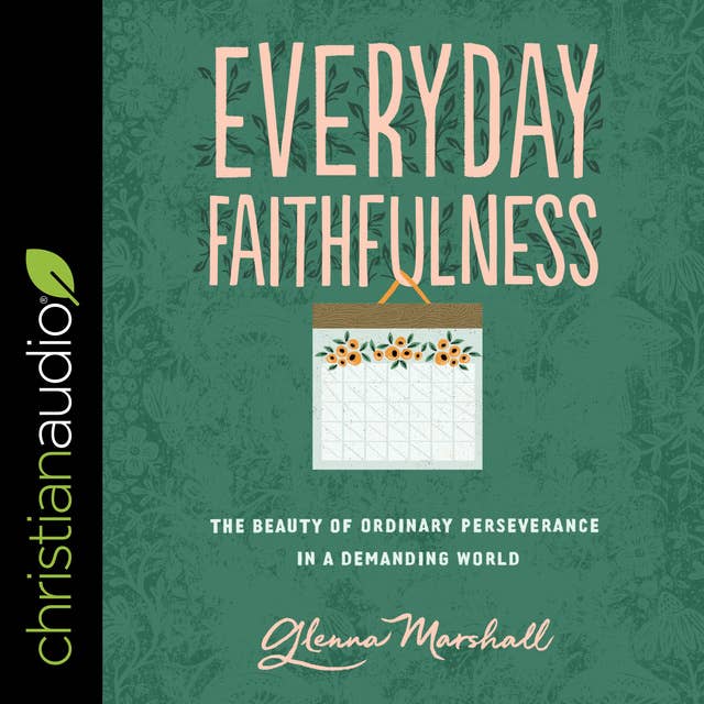 Everyday Faithfulness: The Beauty of Ordinary Perseverance In A Demanding World