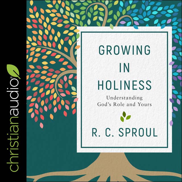 Growing in Holiness: Understanding God's Role and Yours