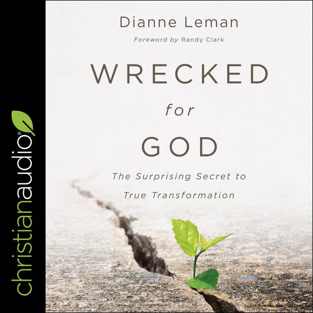 Wrecked for God: The Surprising Secret to True Transformation