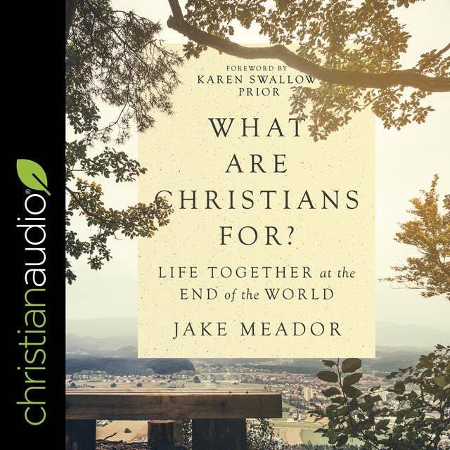 What Are Christians For?: Life Together at the End of the World
