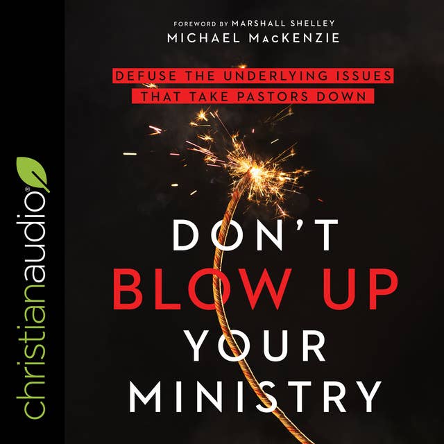 Don't Blow Up Your Ministry: Defuse the Underlying Issues That Take Pastors Down