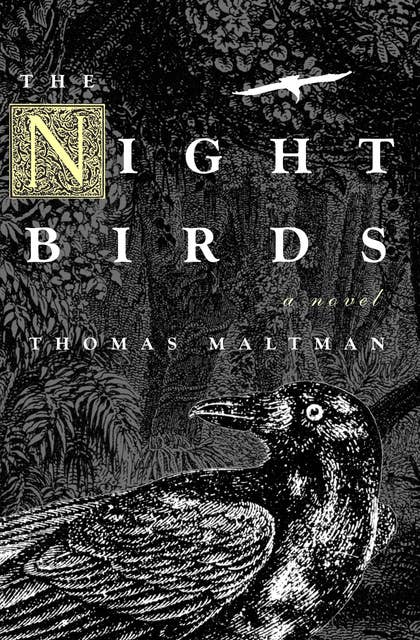 The Night Birds: A Novel