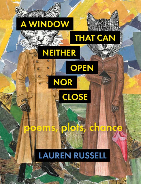 A Window That Can Neither Open Nor Close: Poems, Plots, Chance 