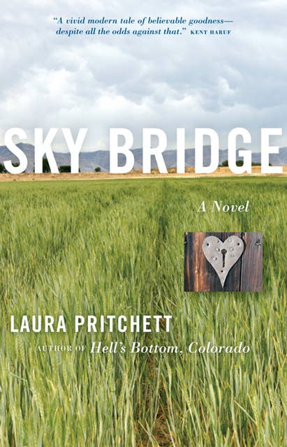 Sky Bridge: A Novel