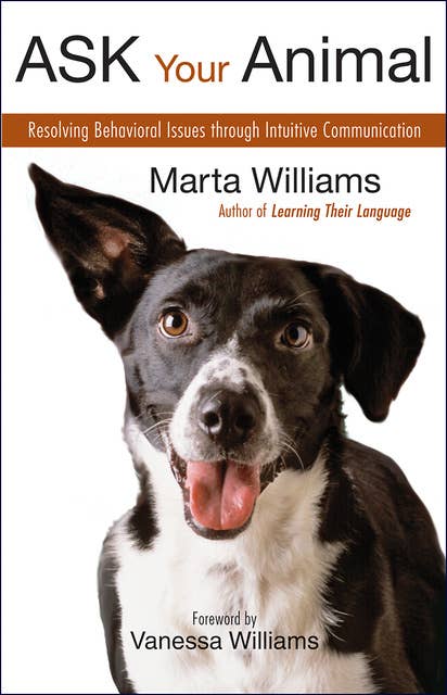 Ask Your Animal: Resolving Animal Behavioral Issues through Intuitive Communication