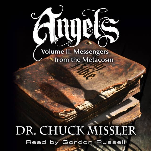 Angels Volume II: Messengers from the Metacosm