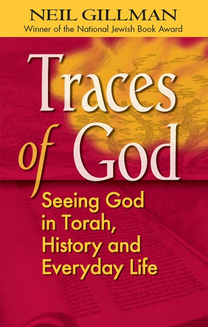 Traces of God: Seeing God in Torah, History and Everyday Life