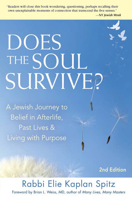 Does the Soul Survive? (2nd Edition): A Jewish Journey to Belief in Afterlife,  Past Lives & Living with Purpose