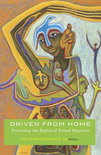 Driven from Home: Protecting the Rights of Forced Migrants