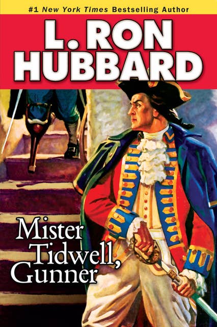 Mister Tidwell Gunner: A 19th Century Seafaring Saga of War, Self-reliance, and Survival