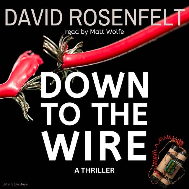 Down To The Wire: A Thriller