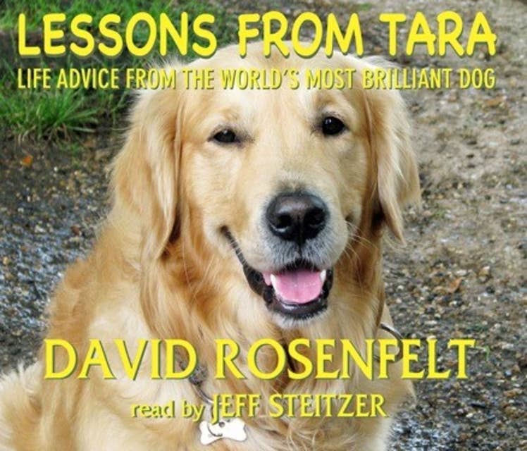 Lessons from Tara - Life Advice from the World's Most Brilliant Dog