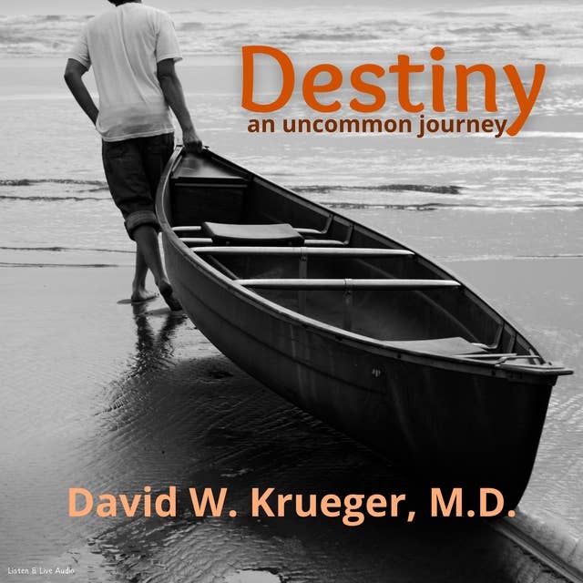 Destiny - An Uncommon Journey