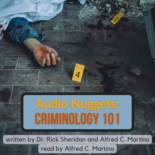 Audio Nuggets: Criminology 101