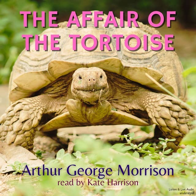 The Affair of the Tortoise