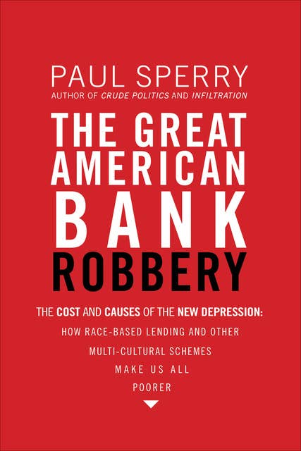 The Great American Bank Robbery: The Cost and Causes of the New Depression