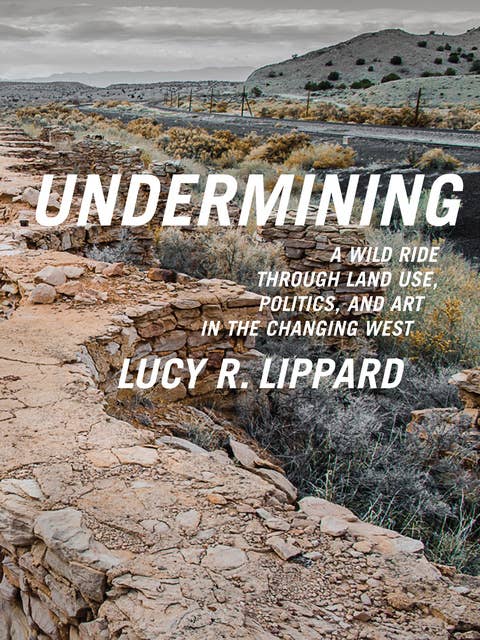 Undermining: A Wild Ride Through Land Use, Politics, and Art in the Changing West