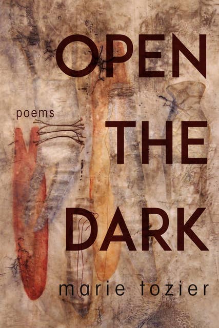 Open the Dark: Poems