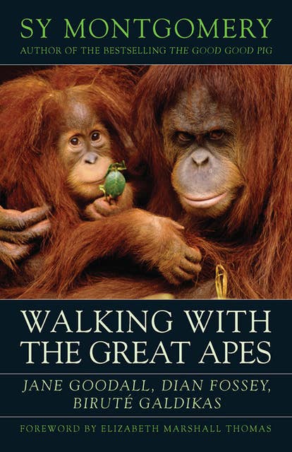 Walking with the Great Apes: Jane Goodall, Dian Fossey, Biruté Galdikas