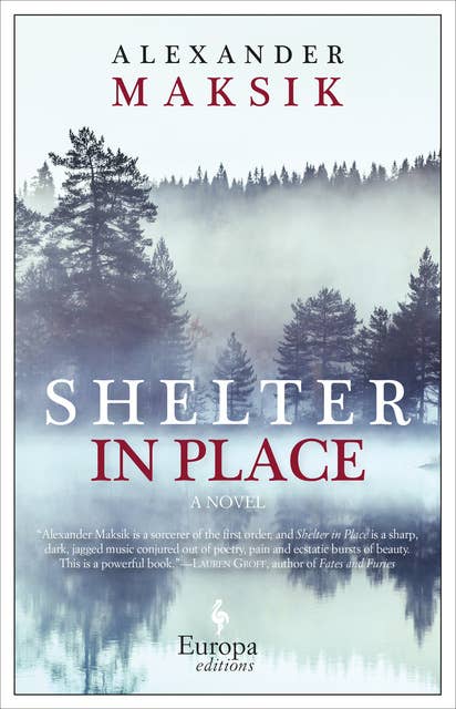 Shelter in Place: A Novel