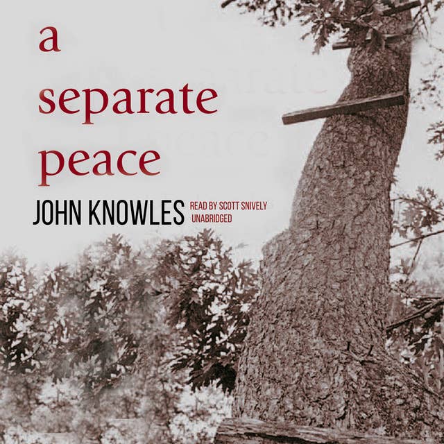 A Separate Peace 