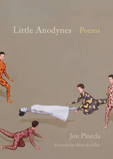 Little Anodynes: Poems