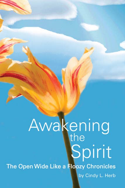 Awakening the Spirit: The Open Wide Like a Floozy Chronicles