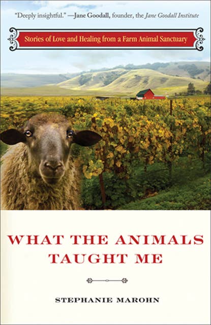 What the Animals Taught Me: Stories of Love and Healing from a Farm Animal Santuary