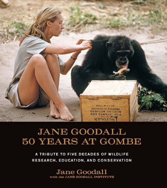 Jane Goodall: 50 Years at Gombe: A Tribute to the Five Decades of Wildlife Research, Education, and Conservation