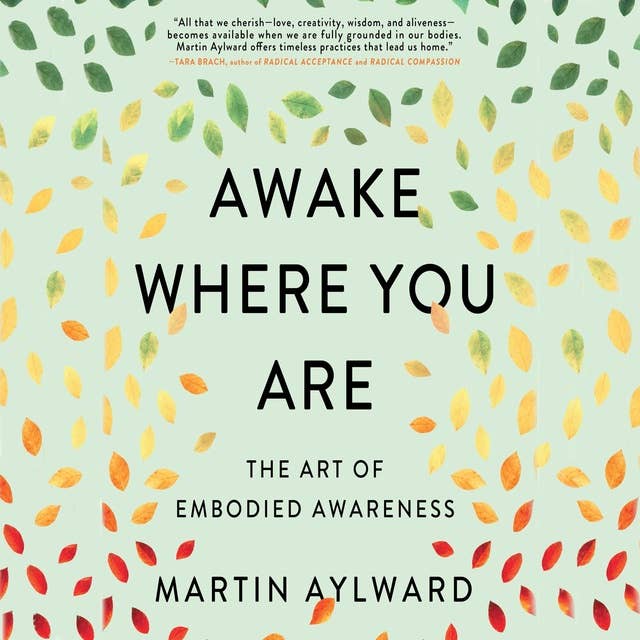 Awake Where You Are: The Art of Embodied Awareness