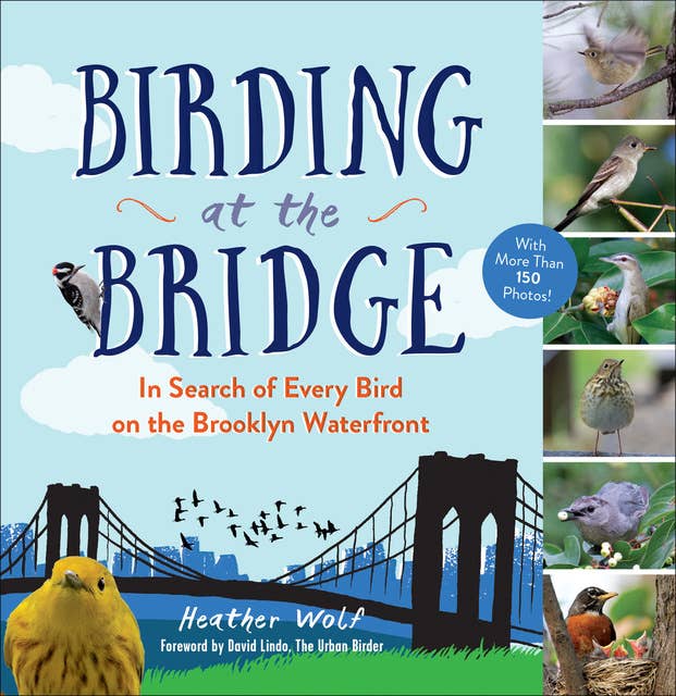 Birding at the Bridge: In Search of Every Bird on the Brooklyn Waterfront