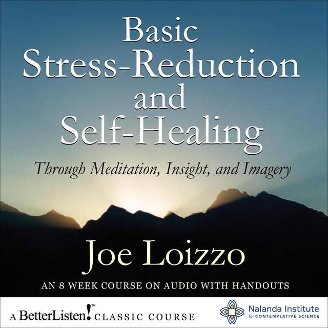 Basic Stress-Reduction and Self-Healing : Through Meditation, Insight, and Imagery: Through Meditation, Insight, and Imagery