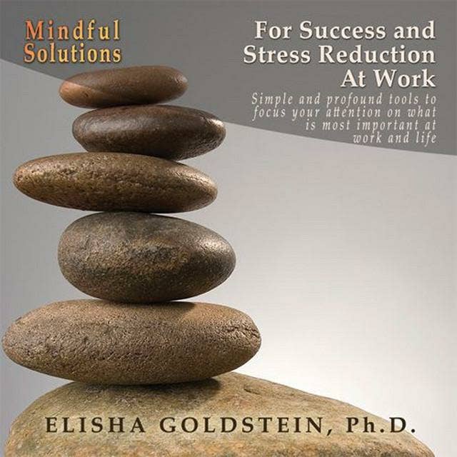 Mindful Solutions for Success and Stress Reduction at Work