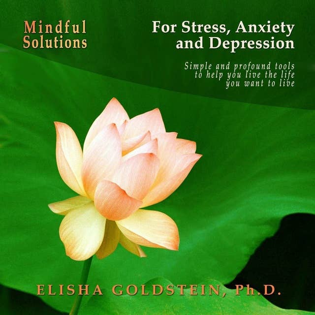 Mindful Solutions for Stress, Anxiety, and Depression