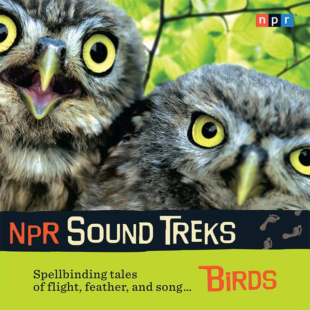 NPR Sound Treks: Birds: Spellbinding Tales of Flight, Feather, and Song