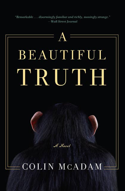 A Beautiful Truth: A Novel