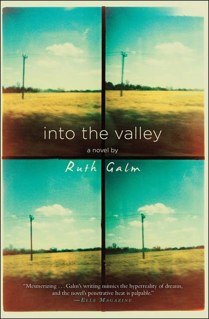 Into the Valley: A Novel