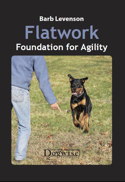 Flatwork: Foundation for Agility