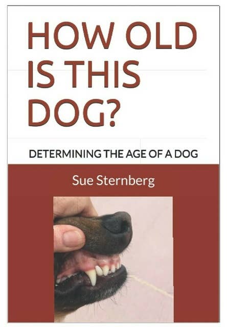How Old Is This Dog?: Determining The Age Of A Dog
