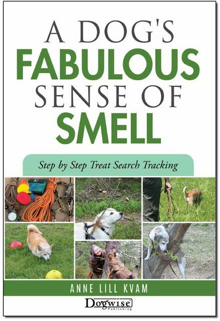 A Dog's Fabulous Sense Of Smell: Step by Step Treat Search Tracking