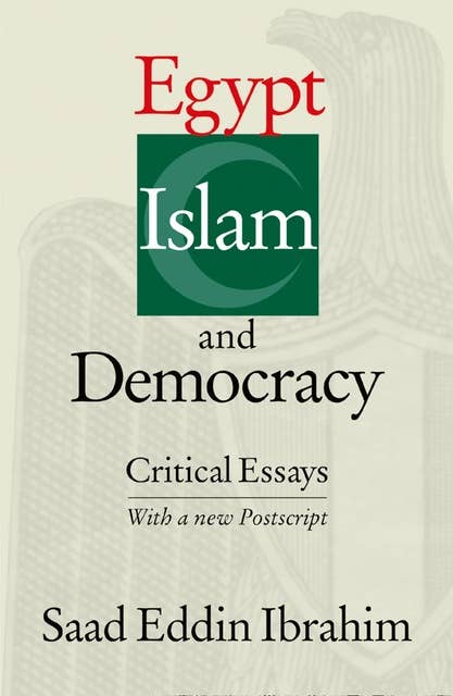 Egypt, Islam, and Democracy: Critical Essays