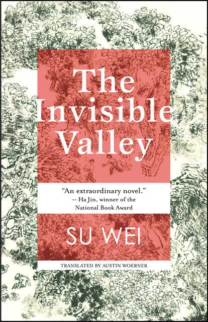 The Invisible Valley: a novel
