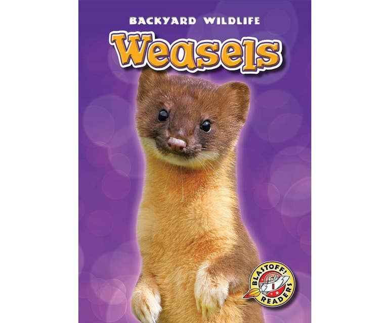 Weasels